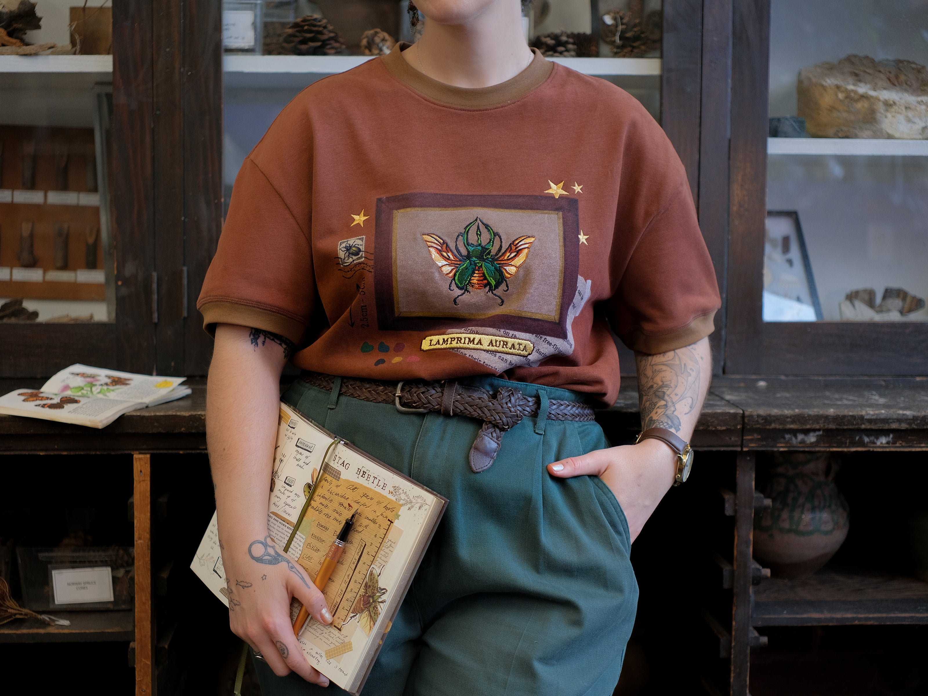 A rusty, vintage orange cotton T-shirt featuring an embroidered stag-horn beetle design framed with vintage-style details, handwritten notes, celestial accents, and latin nomenclature.