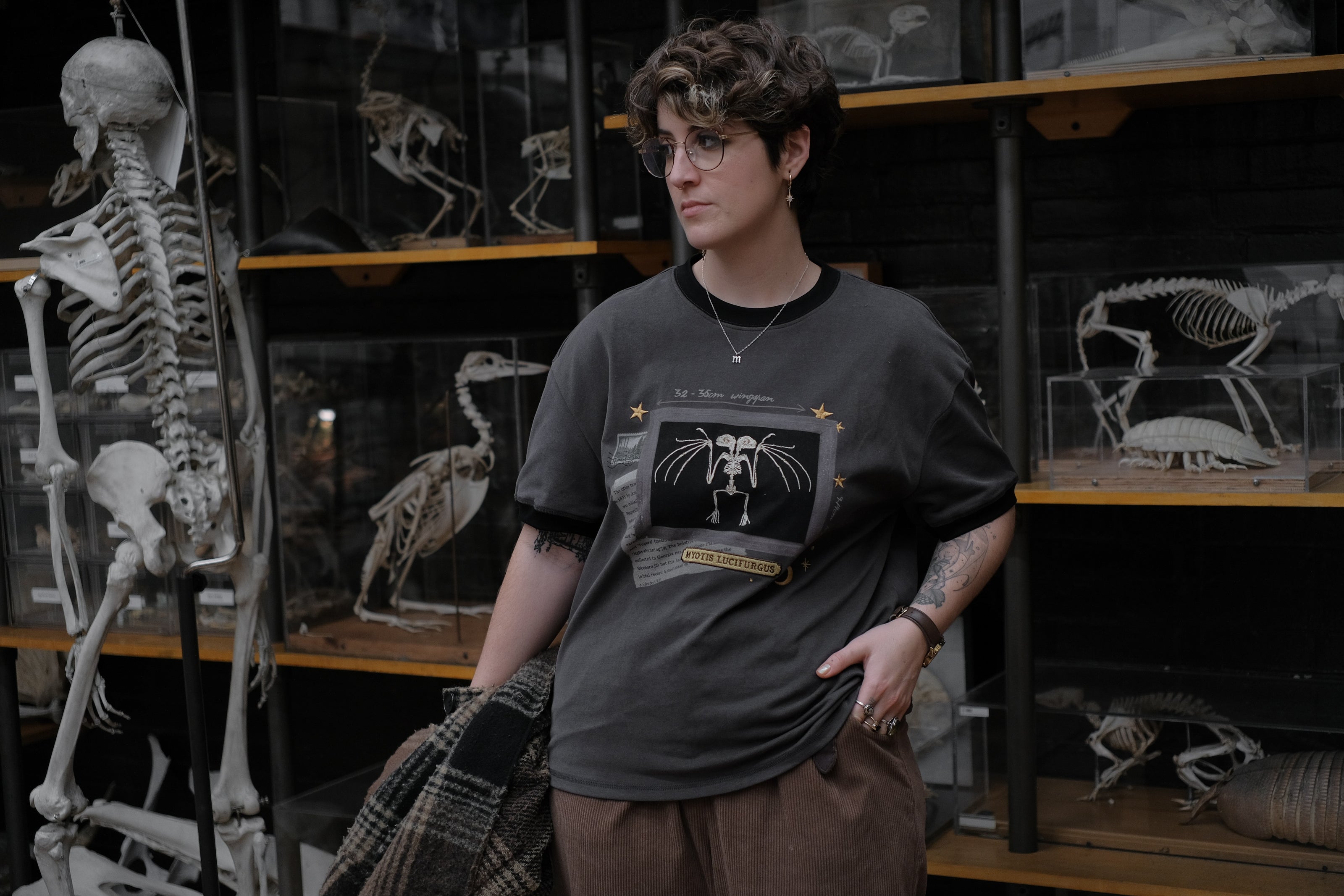 Charcoal gray cotton T-shirt featuring an embroidered skeletal illustration of Myotis lucifugus (a little brown bat) framed within a vintage-style display. The design includes handwritten text noting bat wingspan, golden star and moon accents, and a collage of vintage-inspired elements.