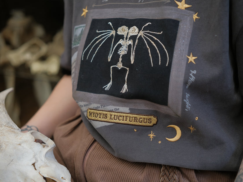 Charcoal gray cotton T-shirt featuring an embroidered skeletal illustration of Myotis lucifugus (a little brown bat) framed within a vintage-style display. The design includes handwritten text noting bat wingspan, golden star and moon accents, and a collage of vintage-inspired elements.