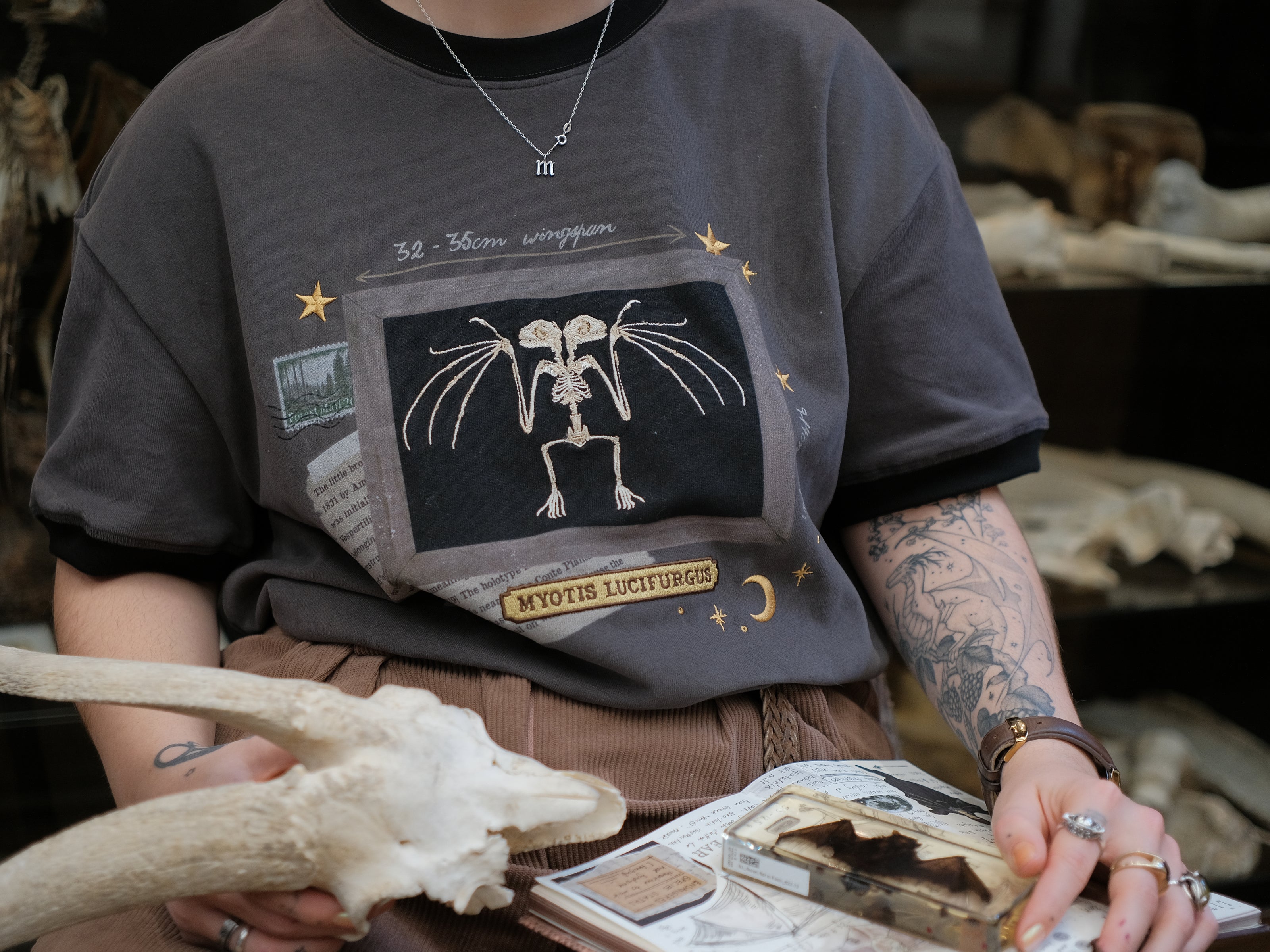 Charcoal gray cotton T-shirt featuring an embroidered skeletal illustration of Myotis lucifugus (a little brown bat) framed within a vintage-style display. The design includes handwritten text noting bat wingspan, golden star and moon accents, and a collage of vintage-inspired elements.