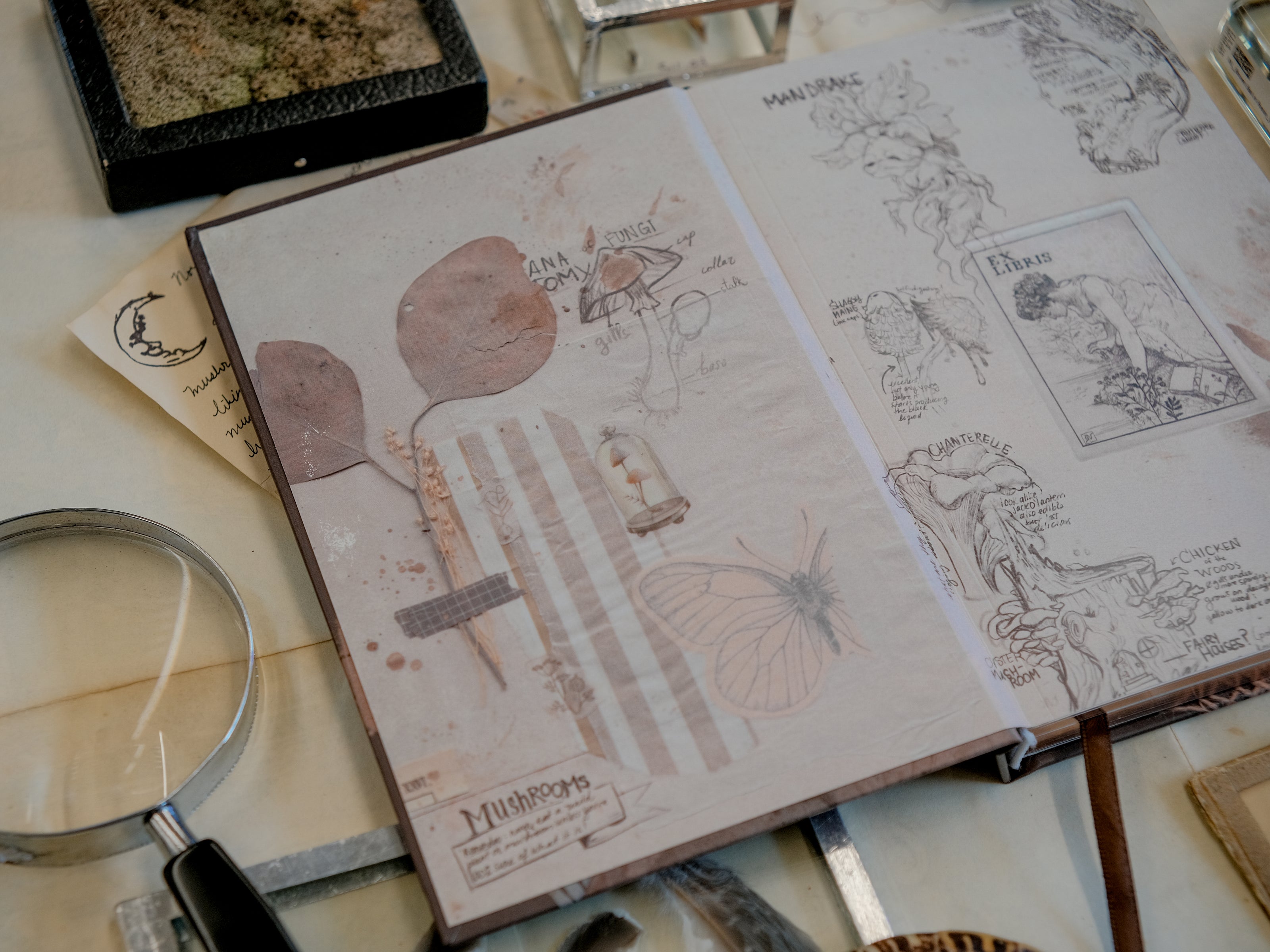 A dark mauve notebook with copper gilded edges, a satin reading ribbon and vintage design, titled 