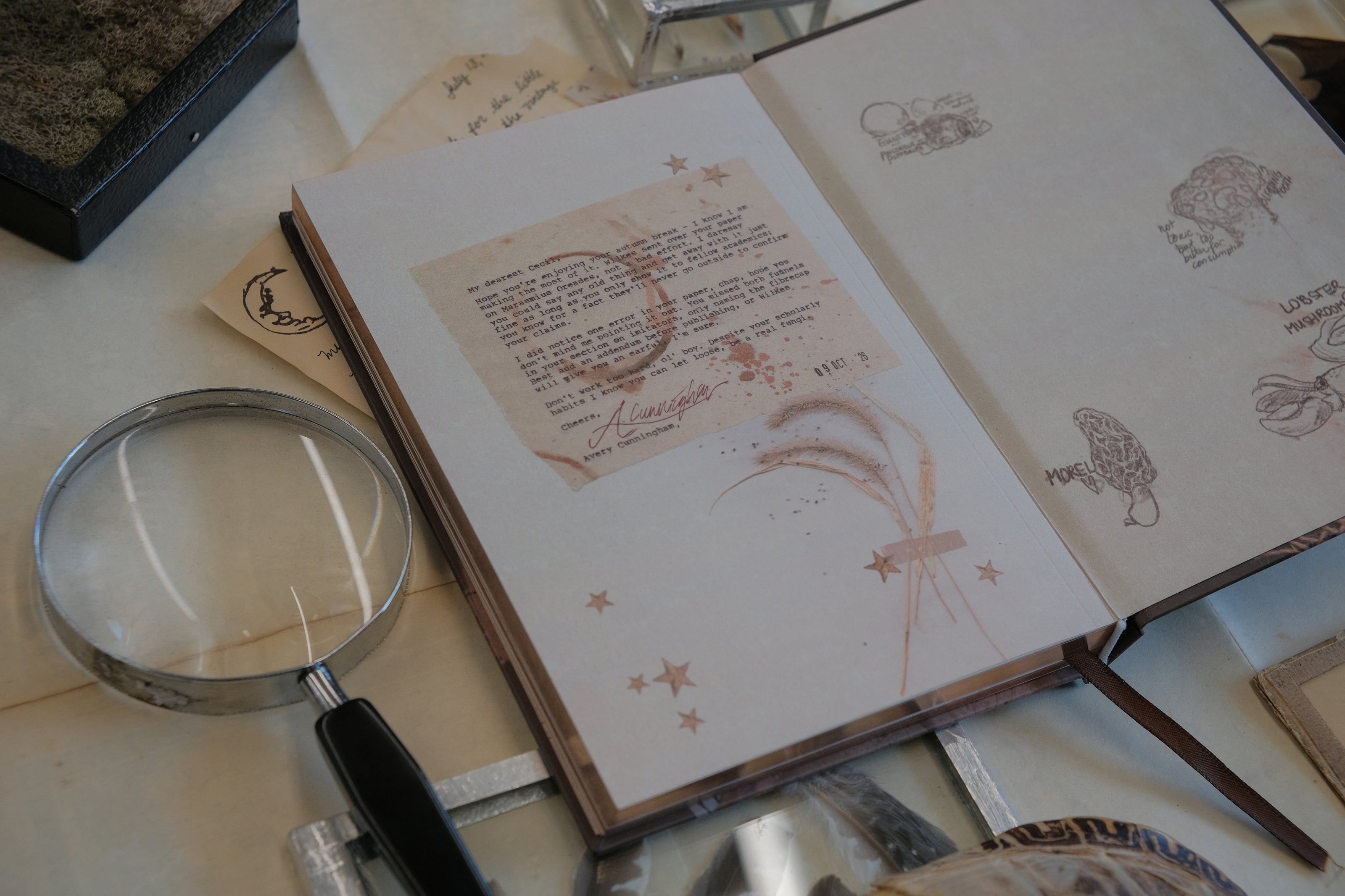 A dark mauve notebook with copper gilded edges, a satin reading ribbon and vintage design, titled 