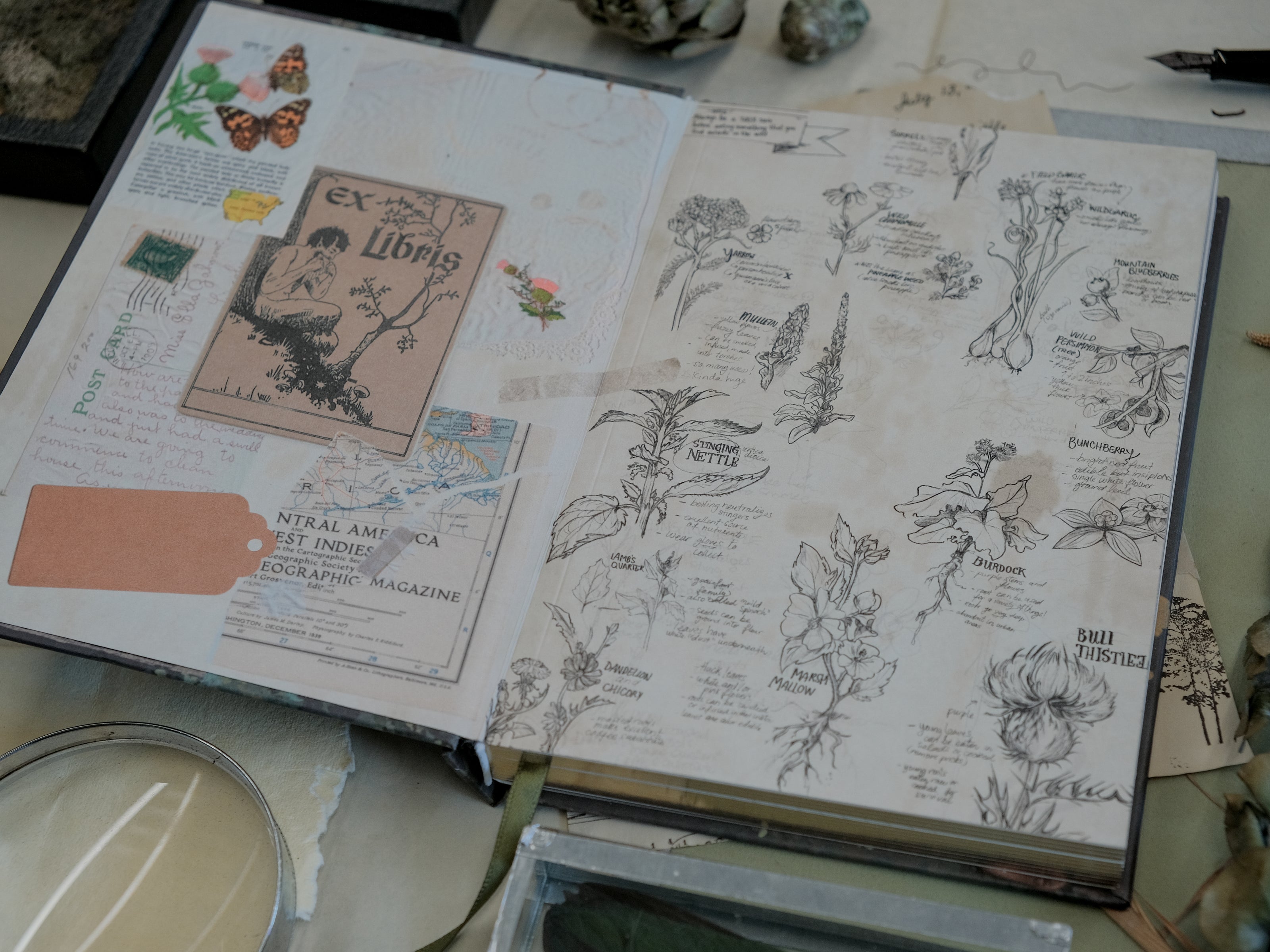 A vintage-style green notebook titled 