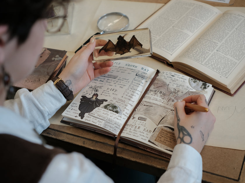 A dark mauve notebook with copper gilded edges, a satin reading ribbon and vintage design, titled 