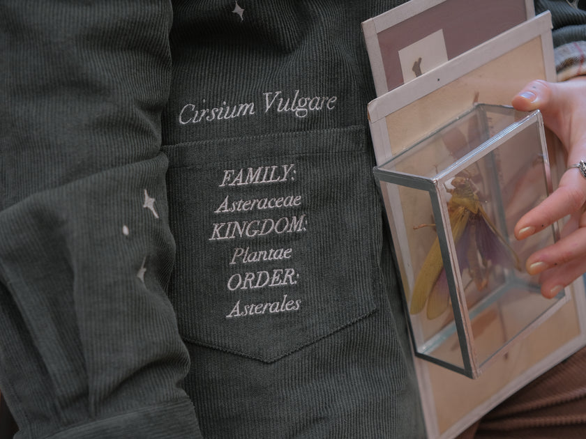 Dark green fall/spring button up corduroy jacket with soft brown plaid lining, featuring embroidered thistles, pollinators, and their Latin names.