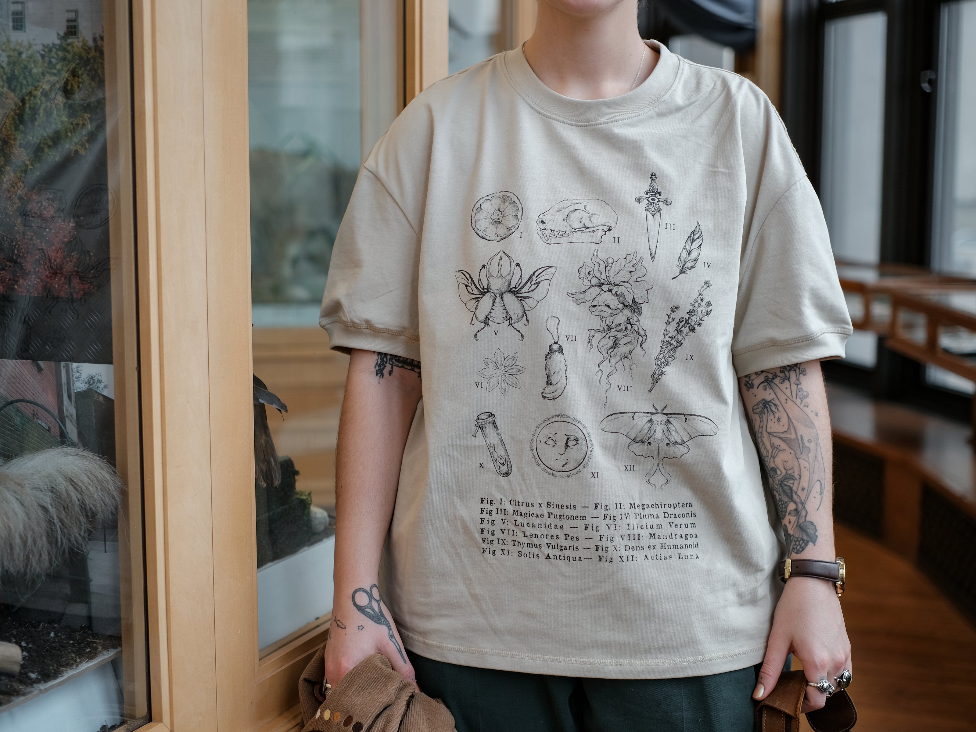 A light cream cotton T-shirt featuring black and gray vintage style sketches of specimens, including a rabbit foot, mandrake root, bat skull Luna moth, feather, stag-horn beetle, vial with a human tooth, star anise, thyme, and an orange slice.