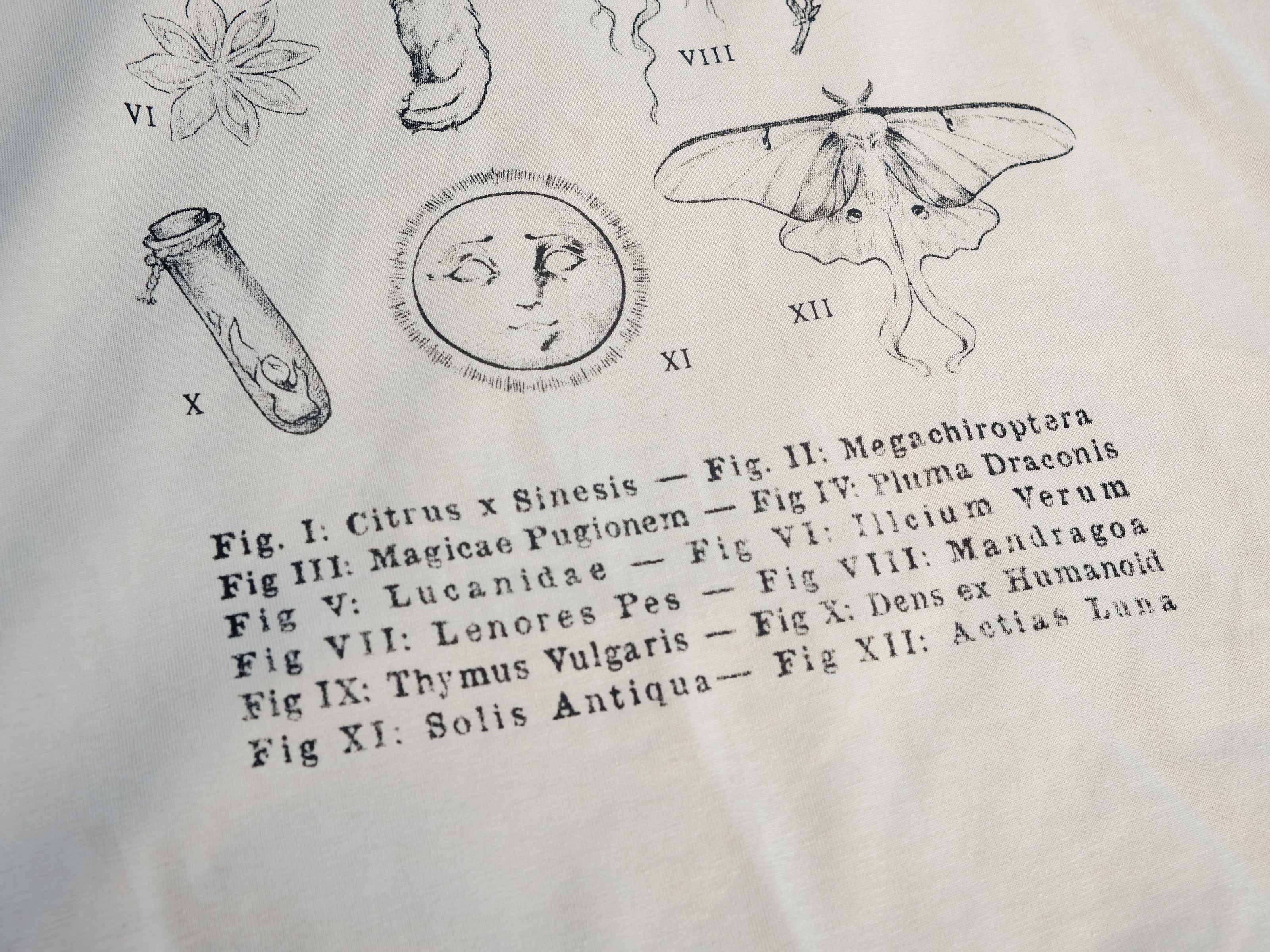 A light cream cotton T-shirt featuring black and gray vintage style sketches of specimens, including a rabbit foot, mandrake root, bat skull Luna moth, feather, stag-horn beetle, vial with a human tooth, star anise, thyme, and an orange slice.