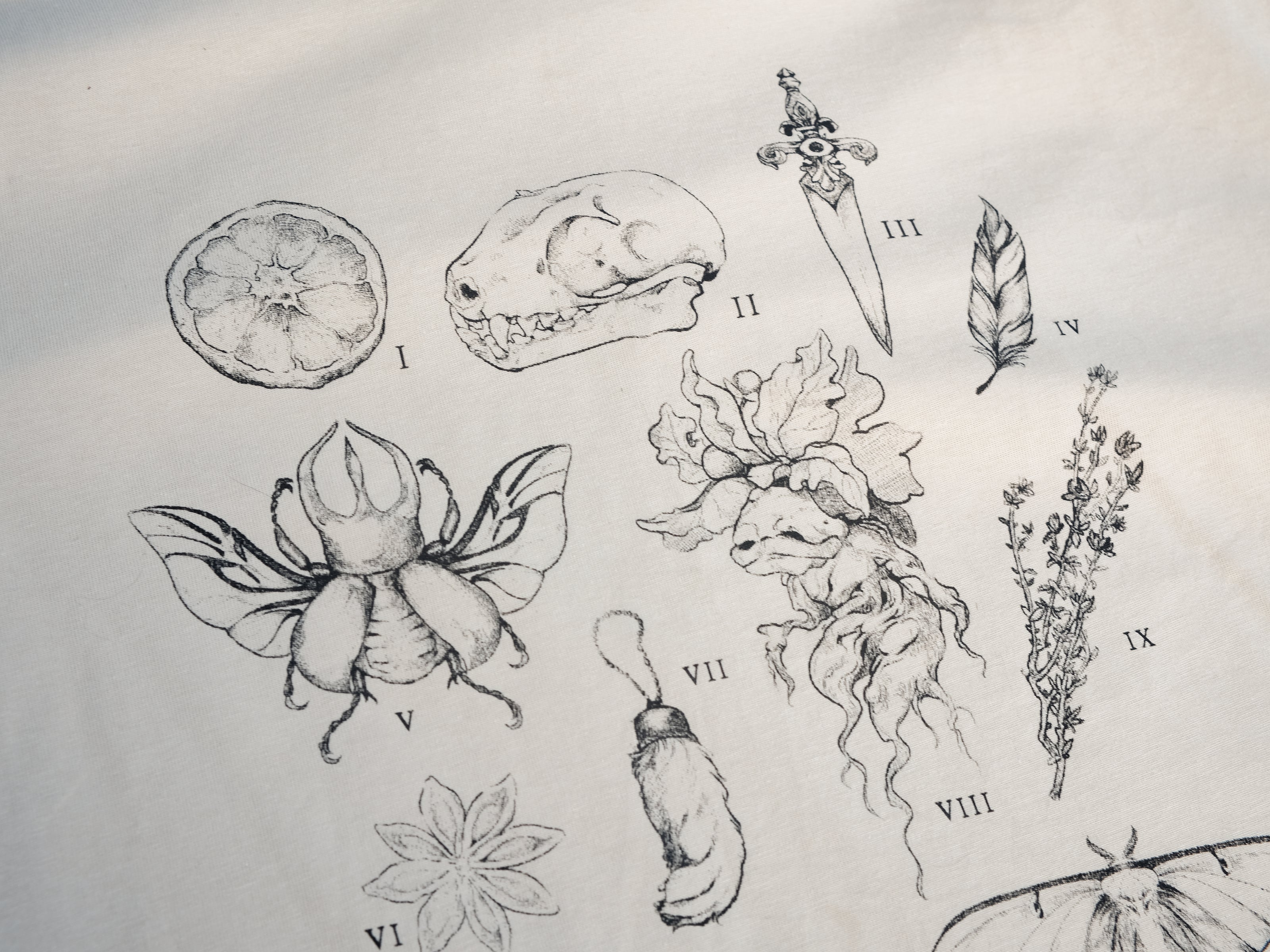 A light cream cotton T-shirt featuring black and gray vintage style sketches of specimens, including a rabbit foot, mandrake root, bat skull Luna moth, feather, stag-horn beetle, vial with a human tooth, star anise, thyme, and an orange slice.