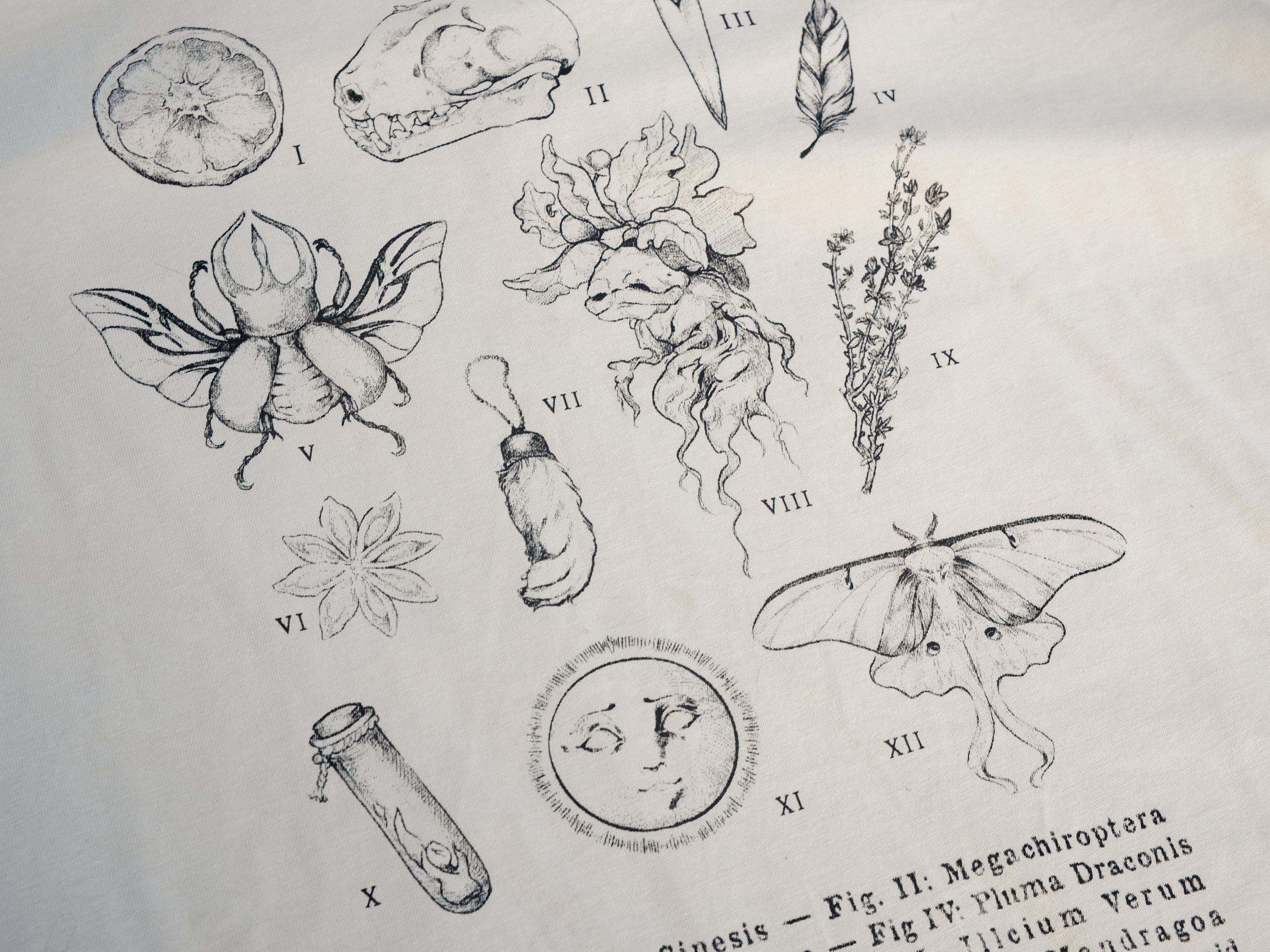 A light cream cotton T-shirt featuring black and gray vintage style sketches of specimens, including a rabbit foot, mandrake root, bat skull Luna moth, feather, stag-horn beetle, vial with a human tooth, star anise, thyme, and an orange slice.