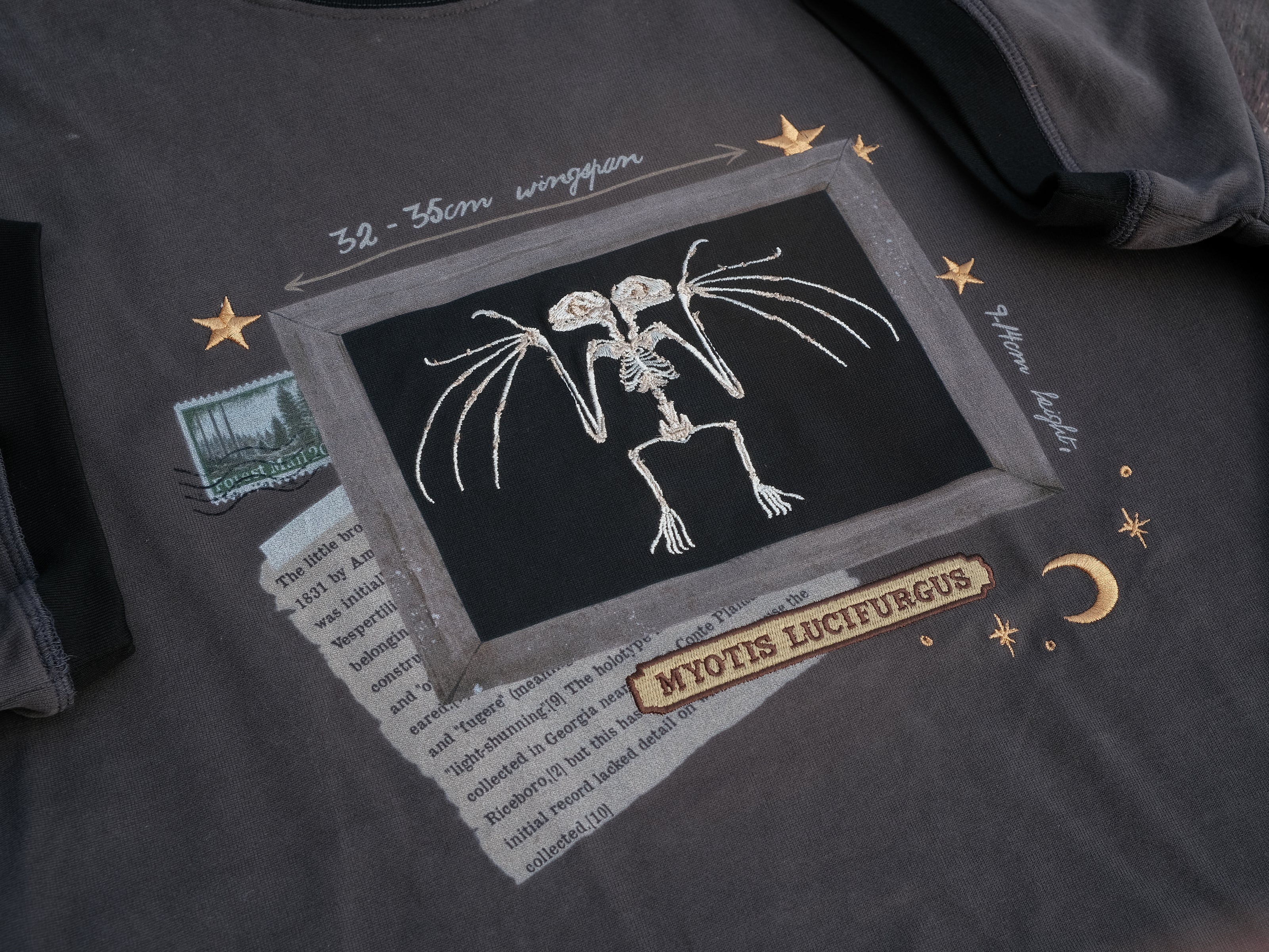 Charcoal gray cotton T-shirt featuring an embroidered skeletal illustration of Myotis lucifugus (a little brown bat) framed within a vintage-style display. The design includes handwritten text noting bat wingspan, golden star and moon accents, and a collage of vintage-inspired elements.