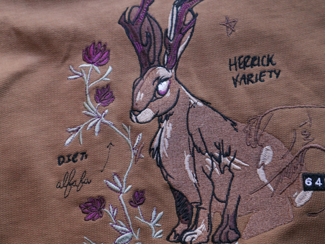 Cozy rust-orange, and peach cotton crewneck sweatshirt, featuring a vintage, embroidered design of the Jackalope with cryptid summer camp-themed symbols and text.