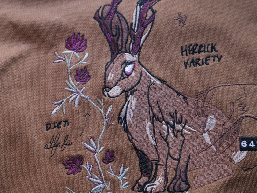 Cozy rust-orange, and peach cotton crewneck sweatshirt, featuring a vintage, embroidered design of the Jackalope with cryptid summer camp-themed symbols and text.