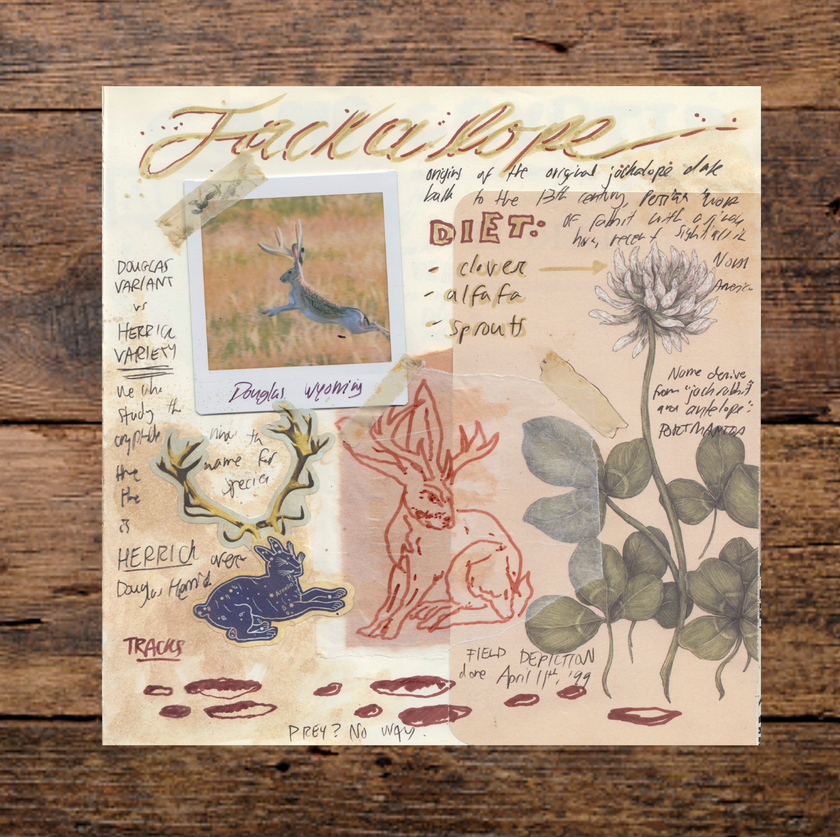 A collection of 4 vibrant, vintage-style cryptid prints and one postcard, featuring hand-drawn artwork, notes, stamps, and photos. The set includes nostalgic summer camp details and cryptid-inspired sketches.