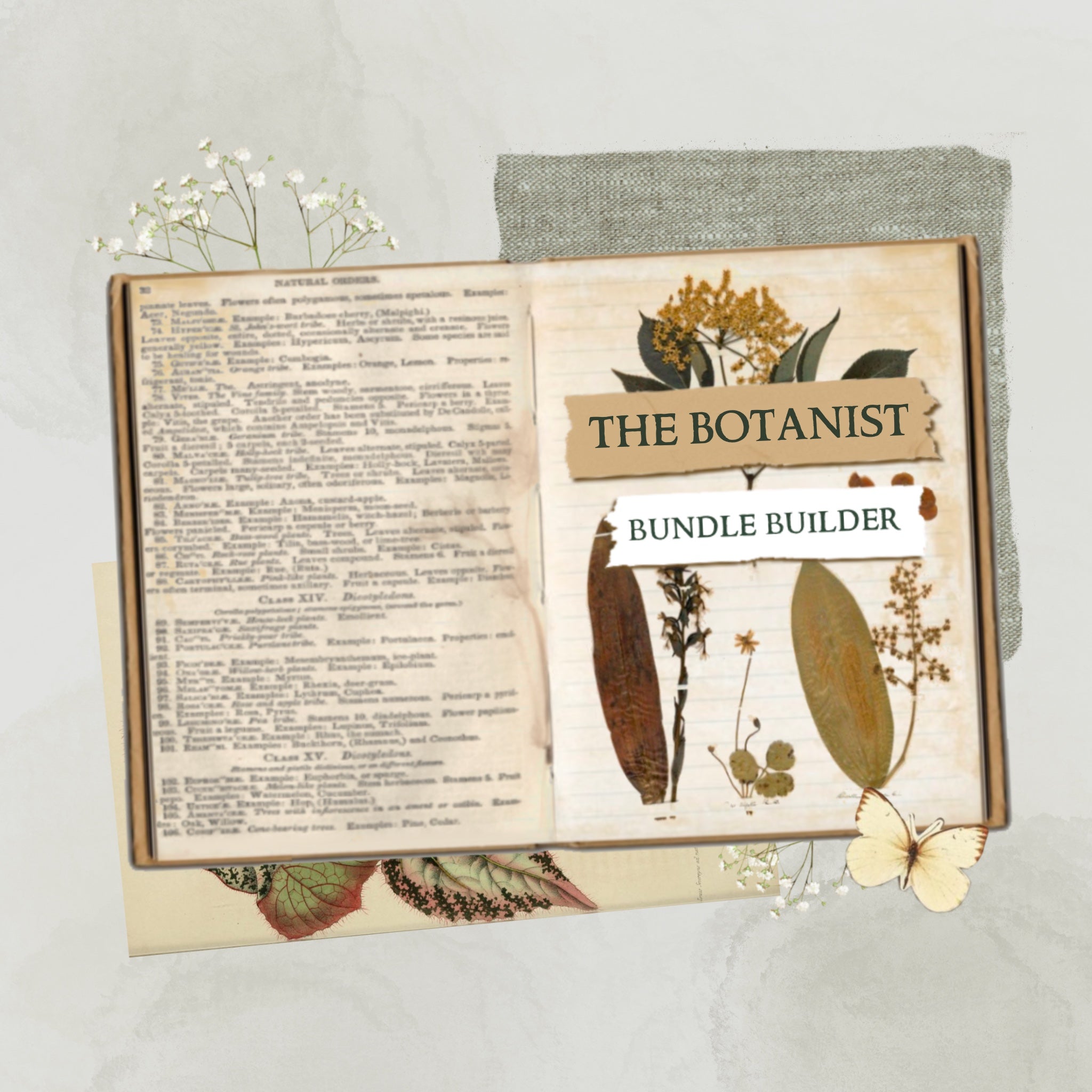 The Botanist's Bundle